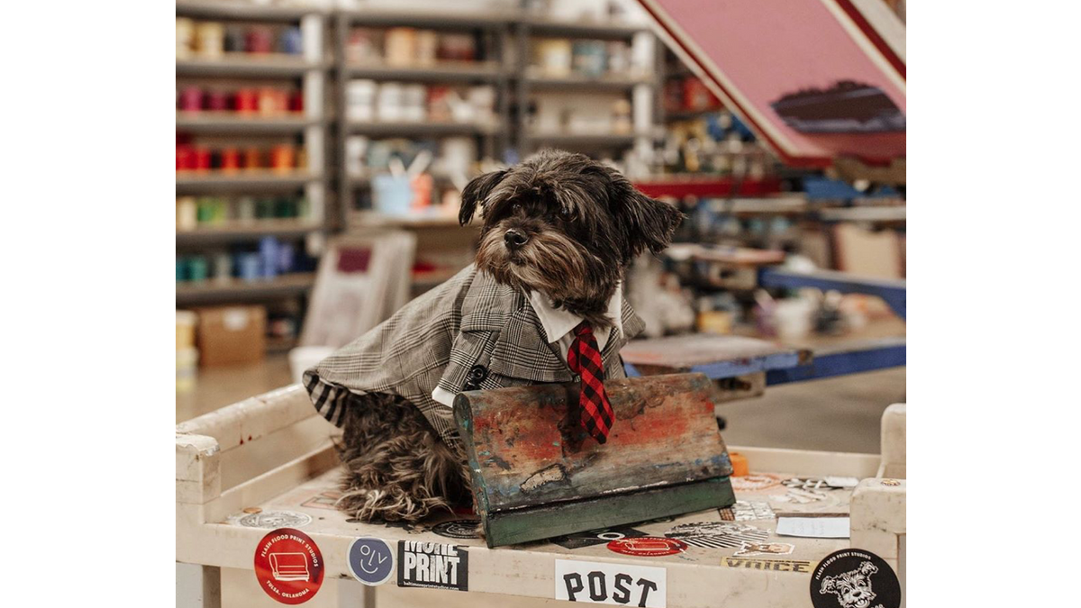 Squeegee the shop dog at Flash Flood Prints.