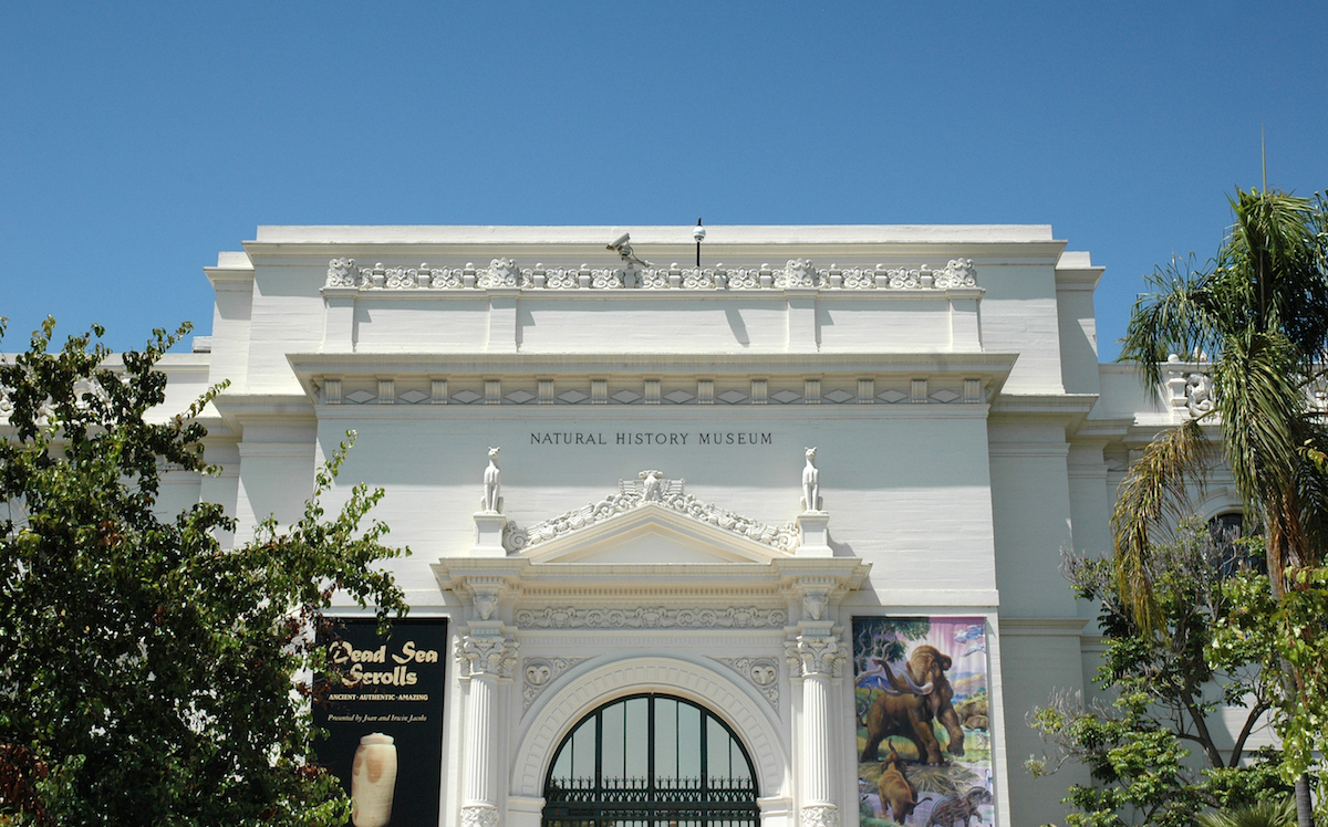 San Diego's Free Museum Days