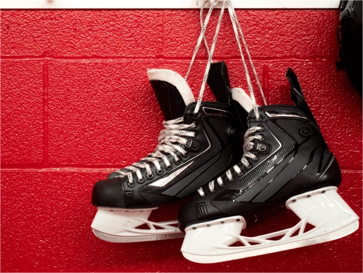 Boston Bruins Standings 2025 Audrey Mcdonald