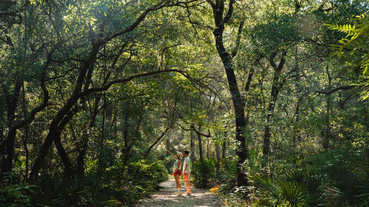 From Giant Oaks to Powdery Shores: Experiencing Alabama’s Outdoors for a First Time