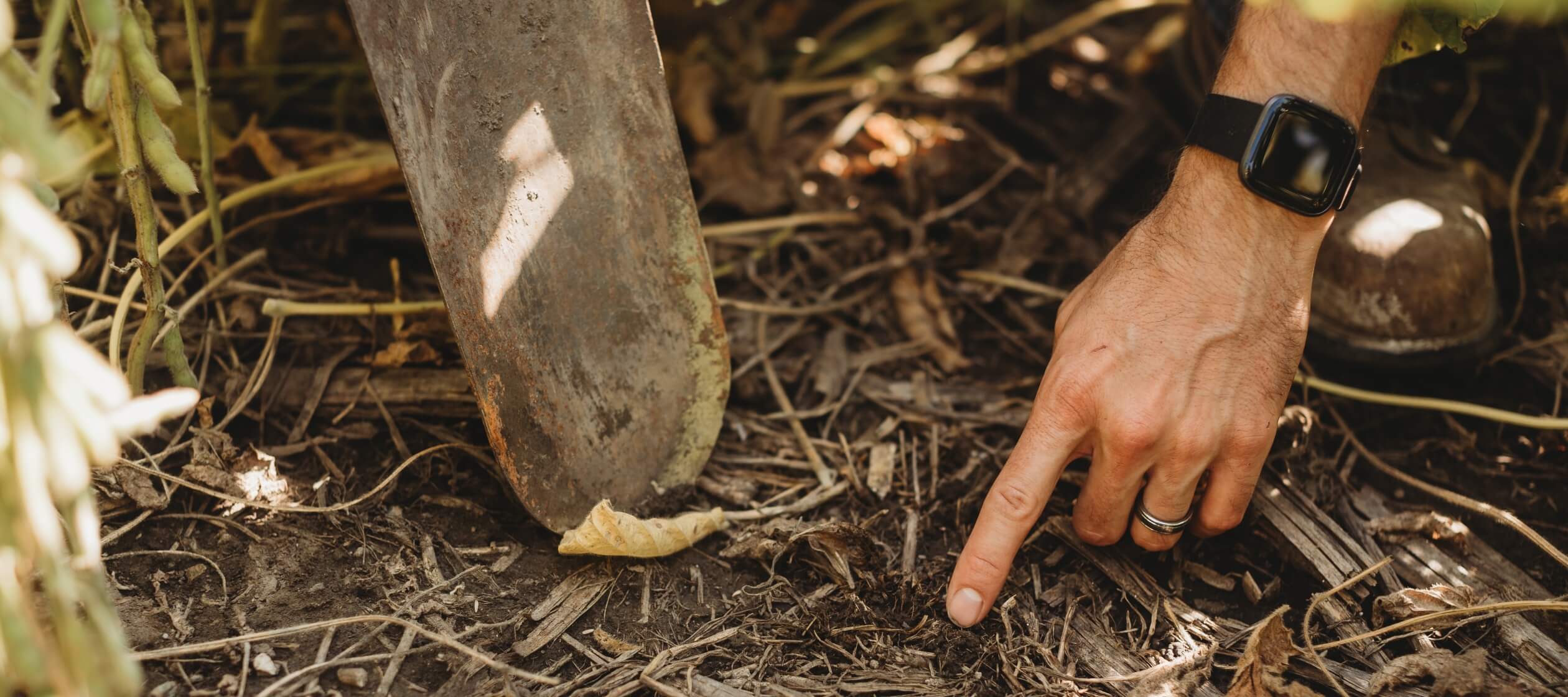 shovel-in-soil