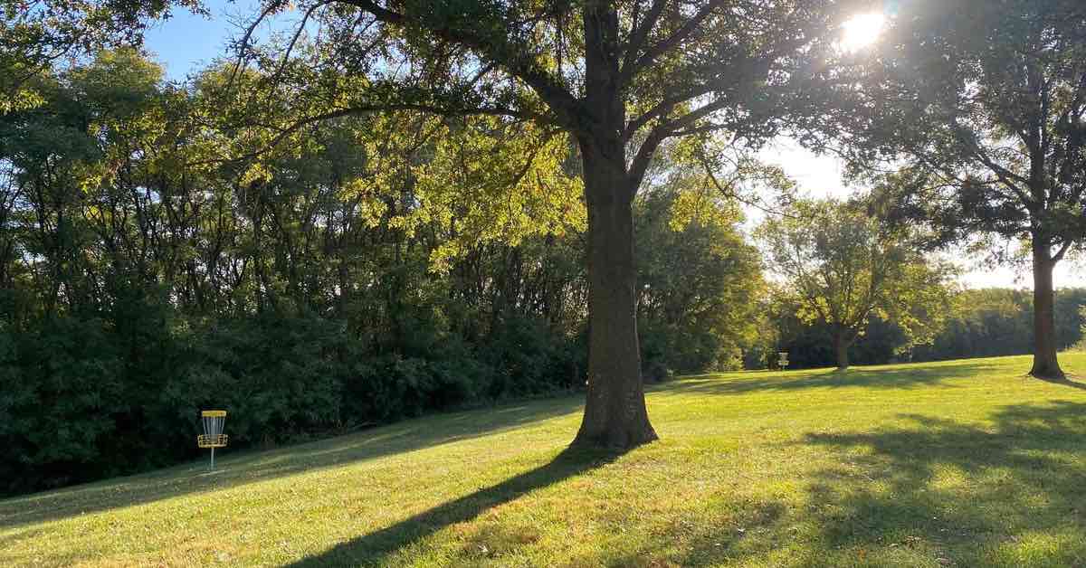 Yellow banded baskets in park area with mowed grass and mature trees in sunlight