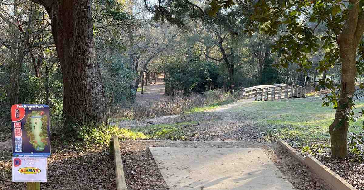 A disc golf tee under low-hanging branches leads to a wooded fairway 