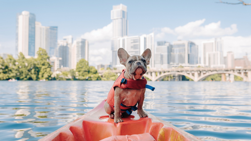 Kayaks & SUP for Sale — Port Austin Kayak & Stand Up Paddle Board