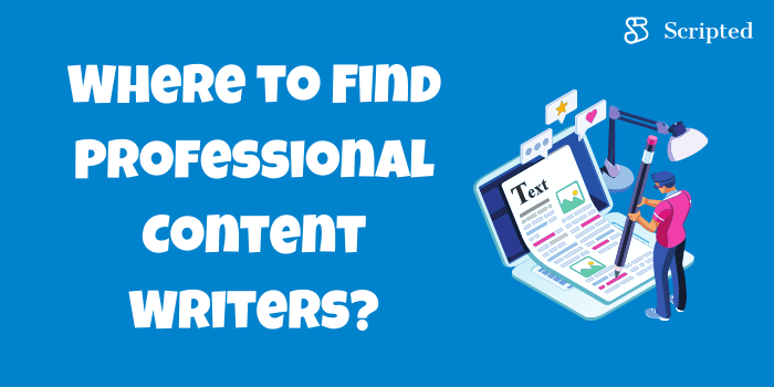 Where to Find Professional Content Writers