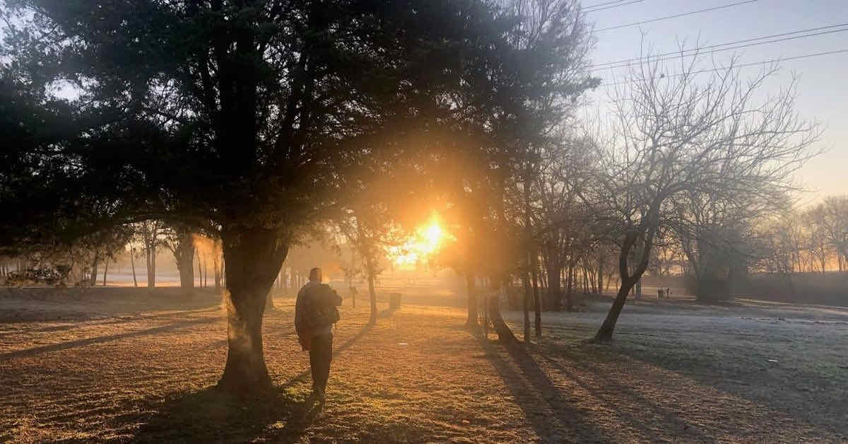 Sunrise on a winter's day in a park setting with short grass and scattered trees