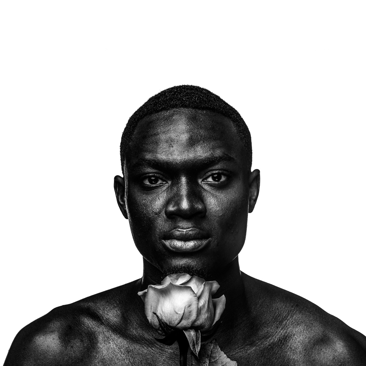 portrait of man holding rose