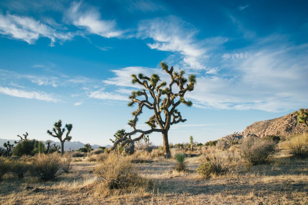 Best Boondocking Locations Across the USA