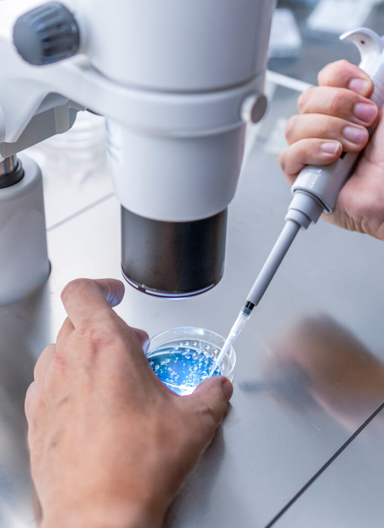 Assisted Hatching & IVF