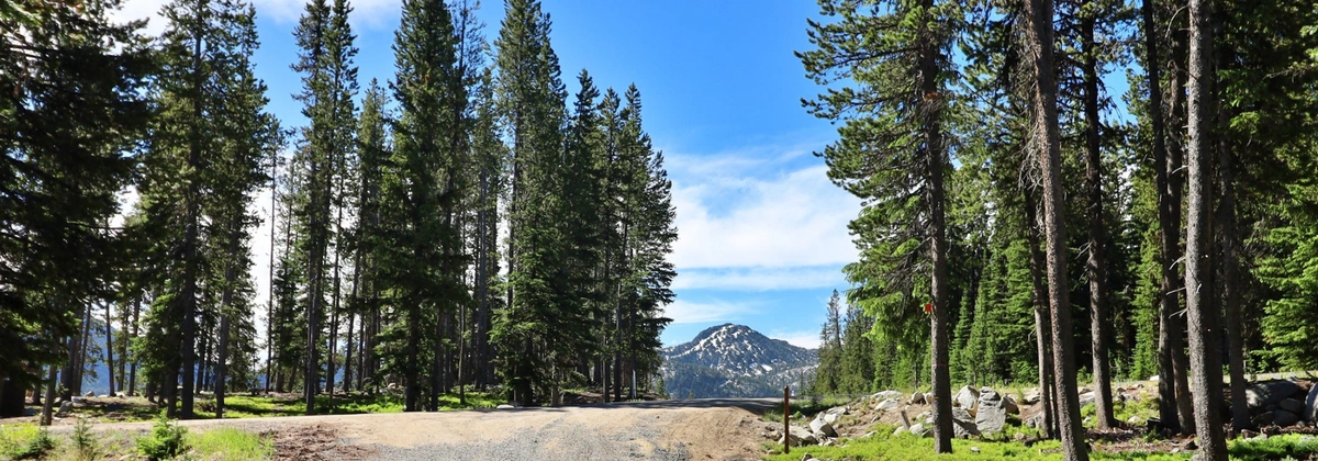 Ladd Canyon.webp