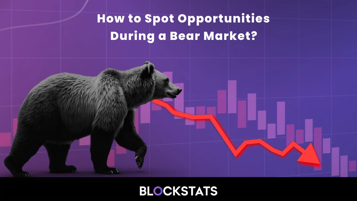 How to Spot Opportunities During a Bear Market?