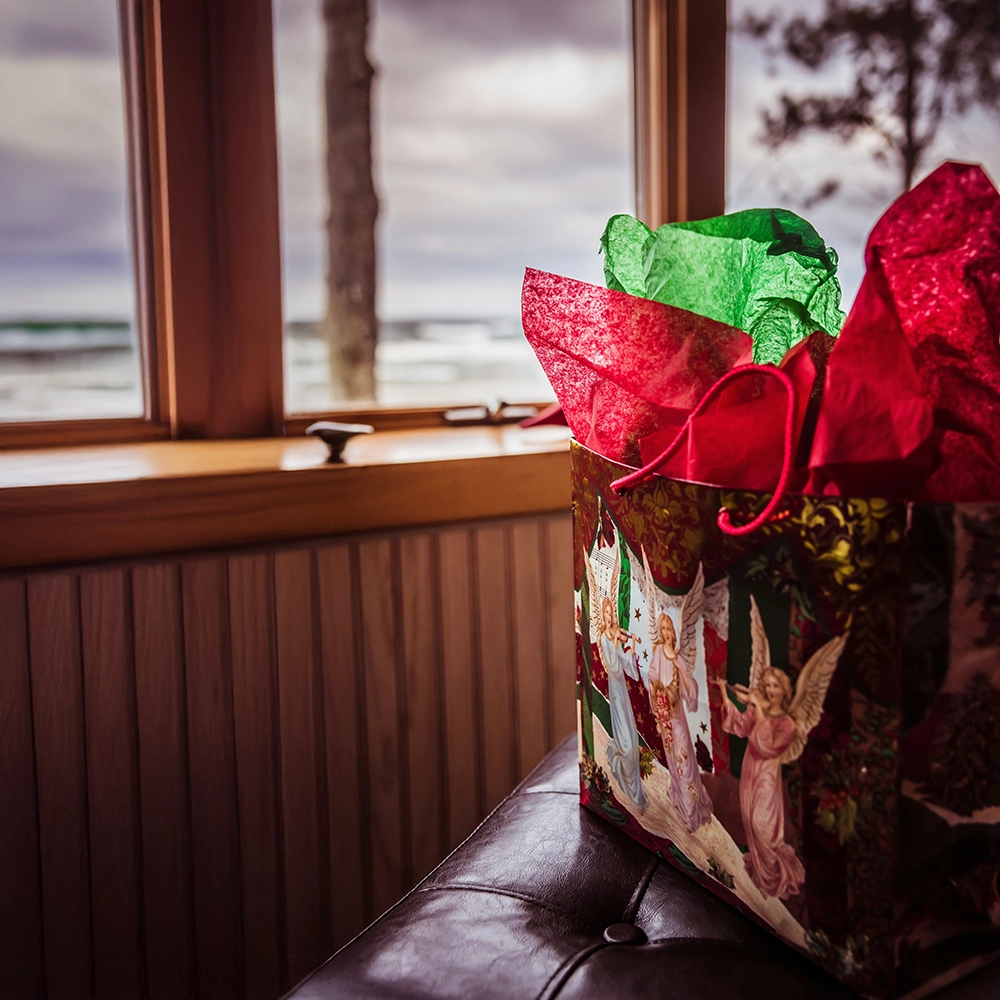 Gift in a Christmas bag.webp