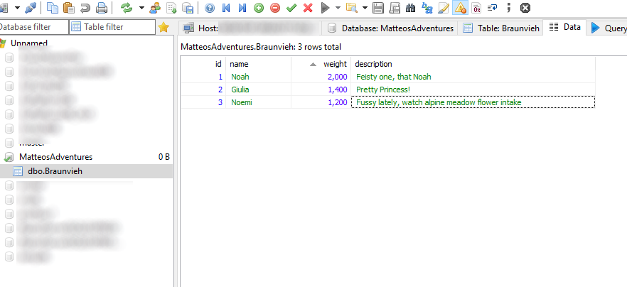 HeidiSQL Add Data to Table