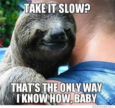 slow sloth