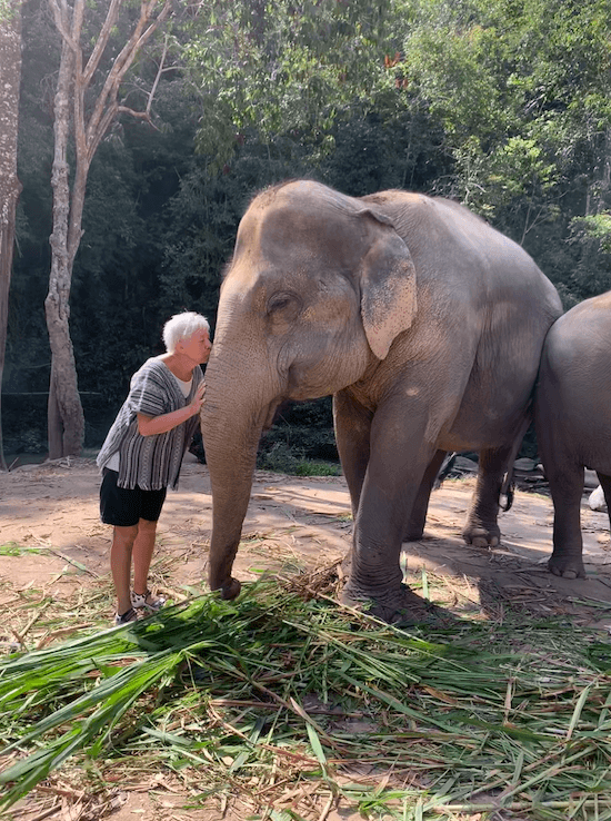 Tourist kissing elephant