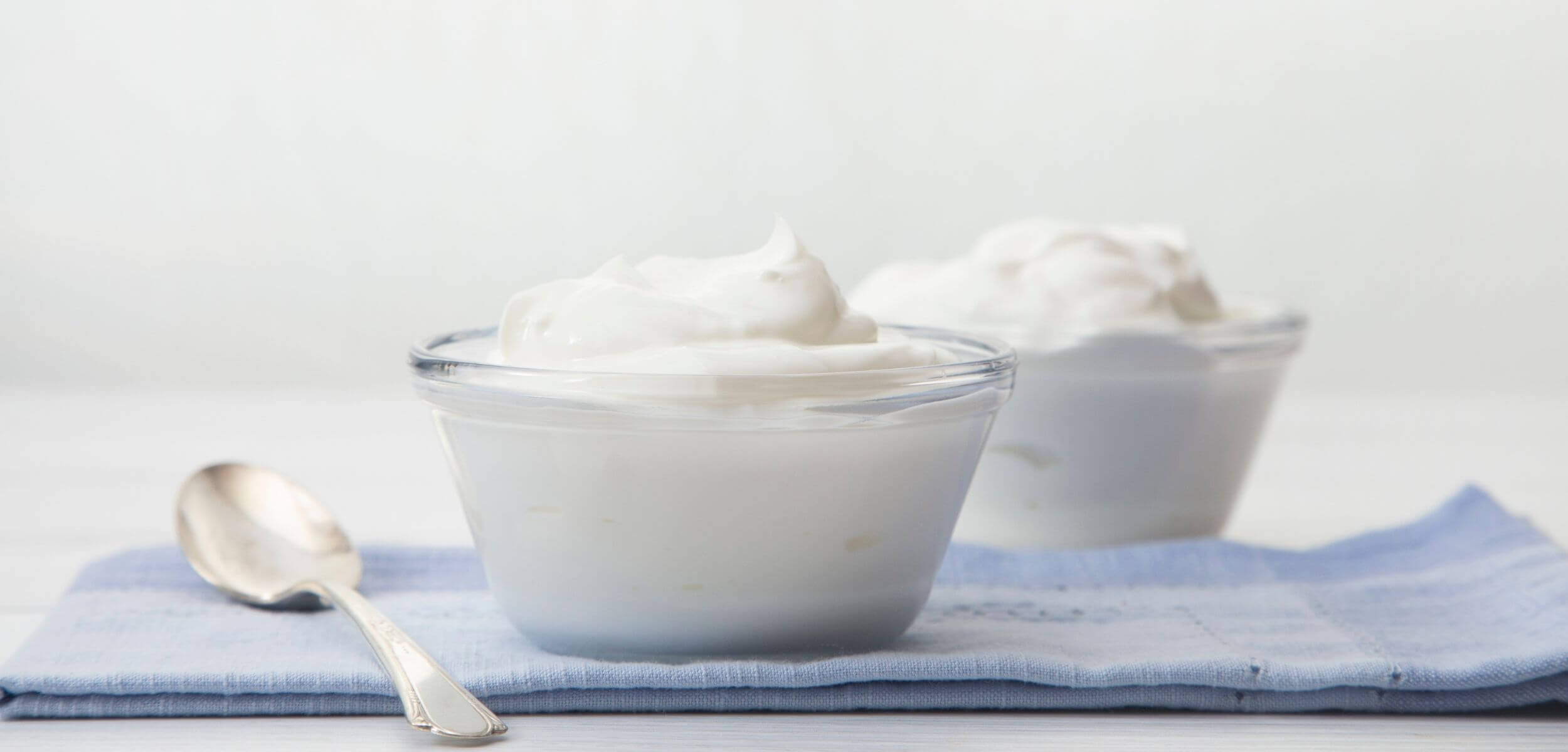 Tipos de Yogurt y Cómo Escoger El Mejor