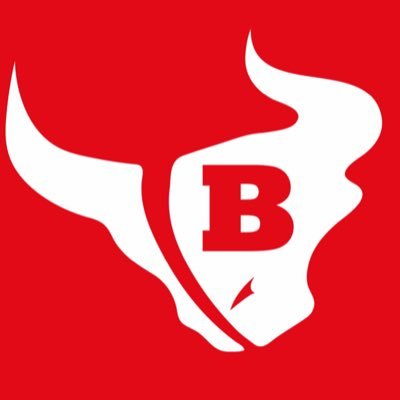 Bloomingdale Bulls Logo.jpg