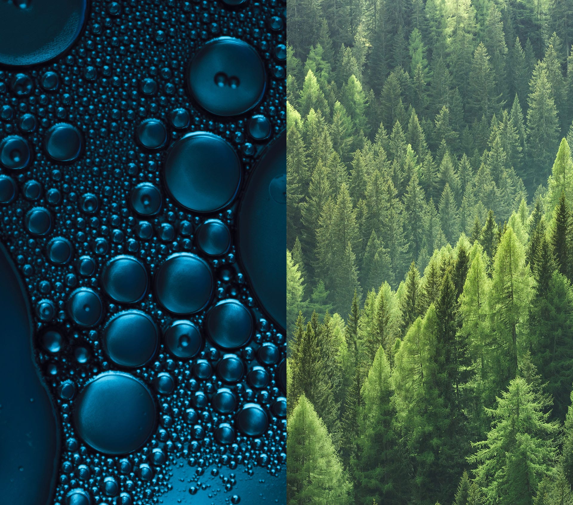 9sQcHvAISUa0oGnvPzpi