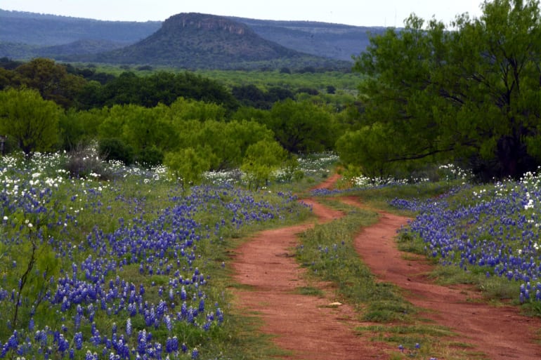 texas landscape with road