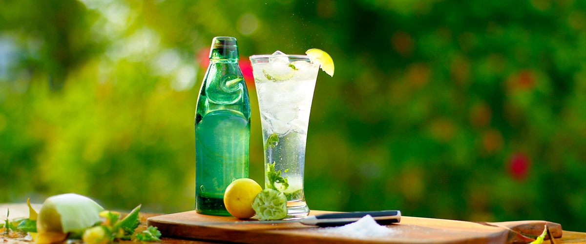 How To Destinations for SoberCurious Travel Seven Corners