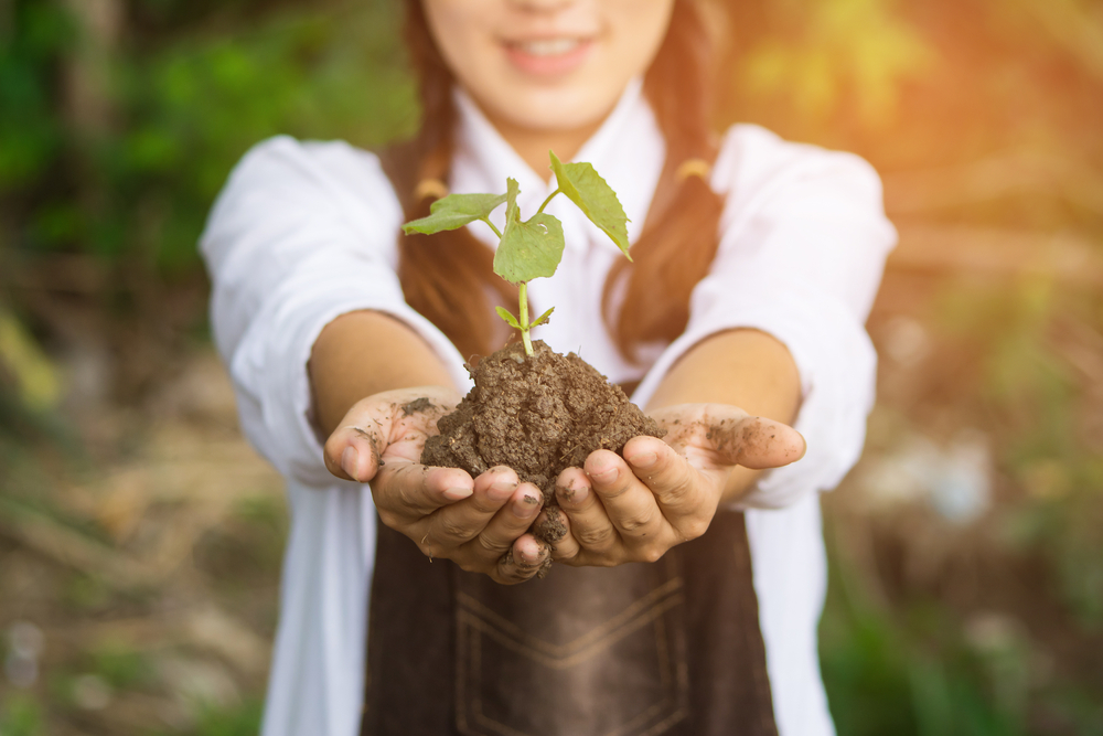 How to save money on your garden