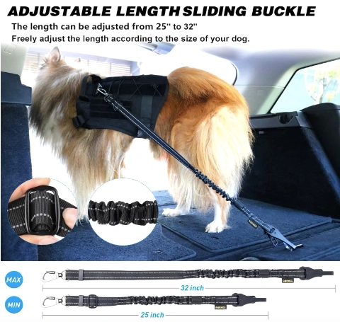 Aubelldogseatbelt.webp