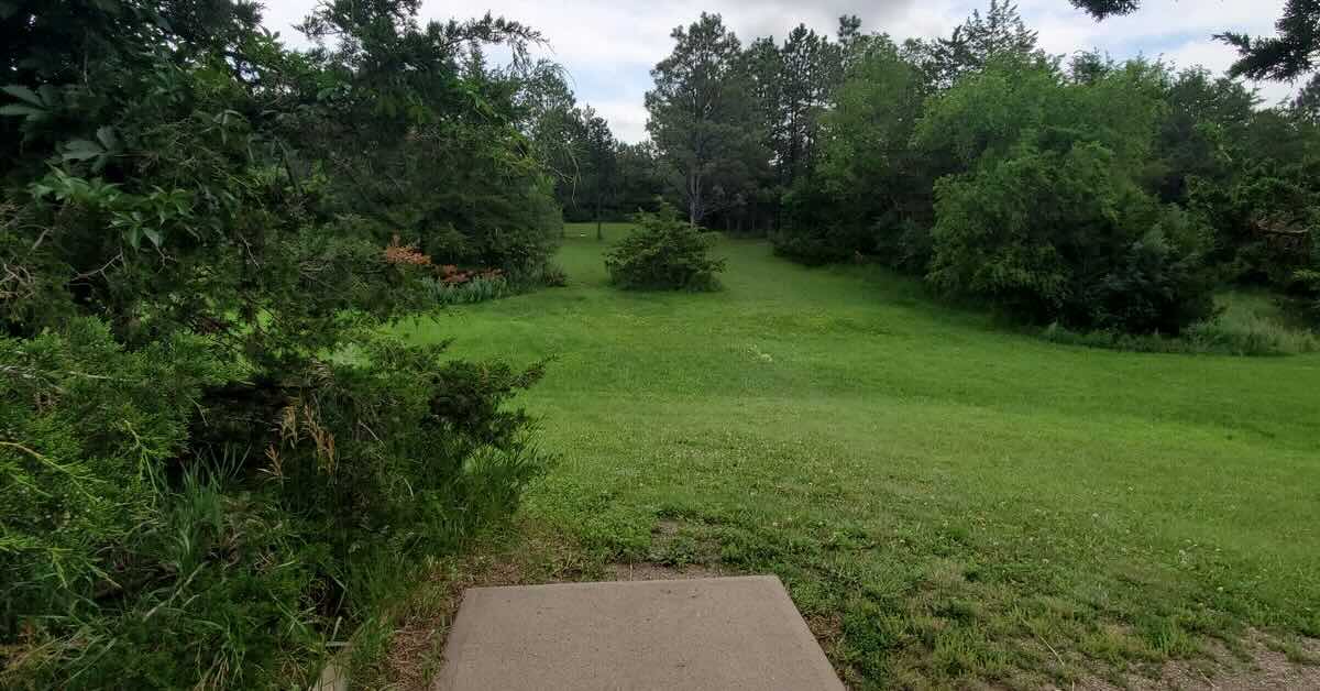 A concrete disc golf tee pad leads to a fairway of open green grass lined by thick trees and brush