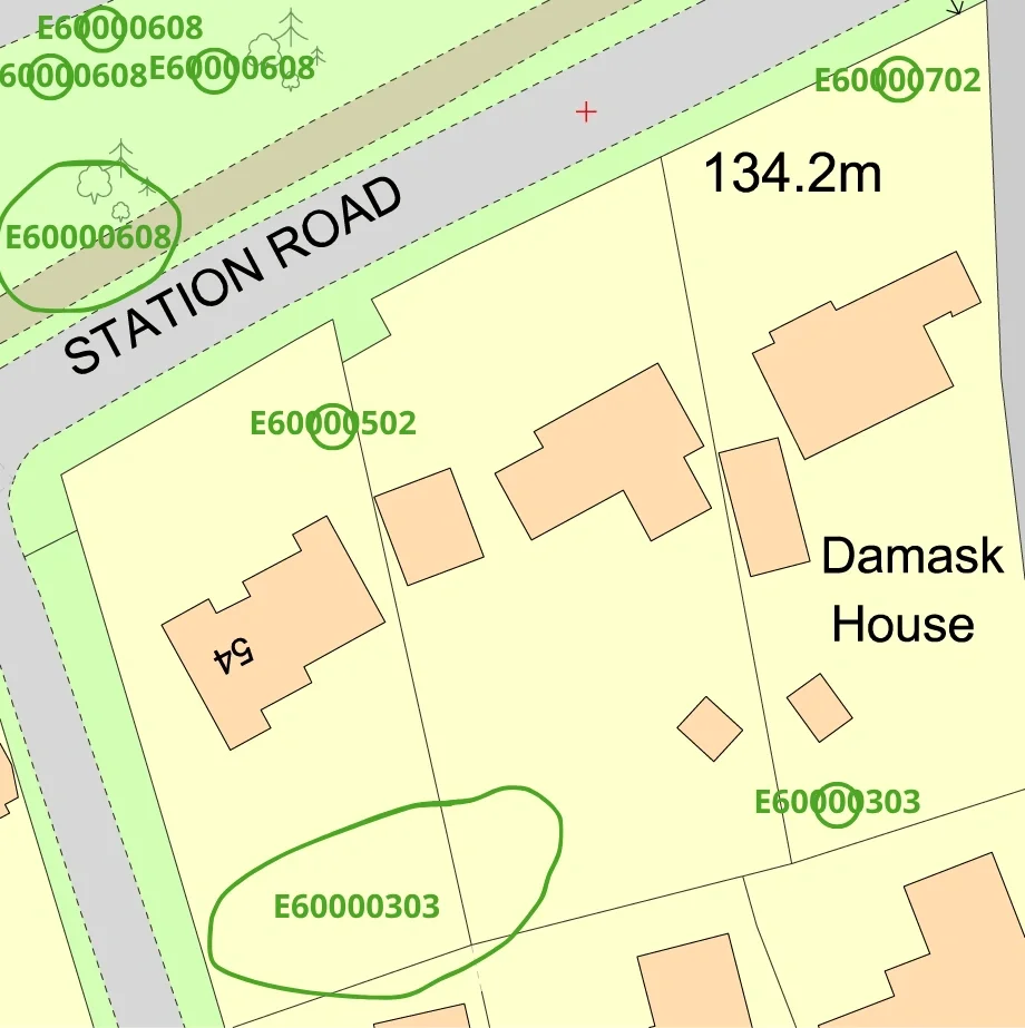 When not to rely solely on TPO maps