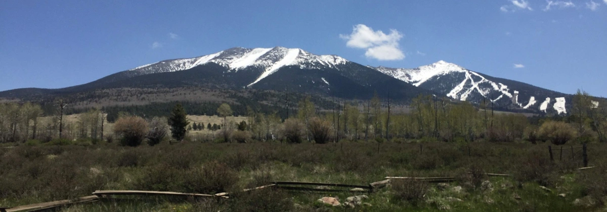 Hart Prairie an Off-Road Trail in Flagstaff 
