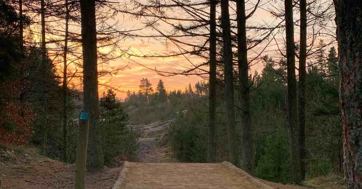 Disc golf tee pad in woods with sunset view