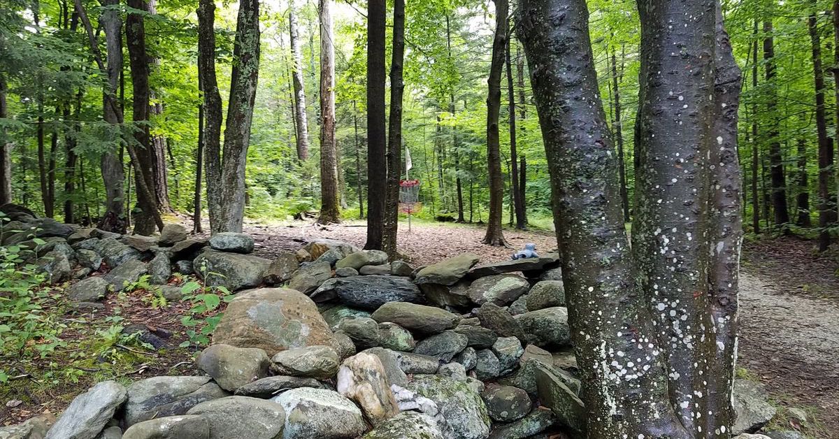 A loose rock wall in a wooded area with a disc golf basket behind