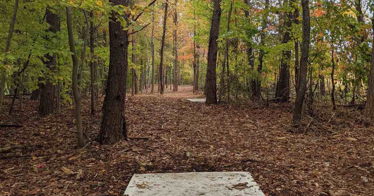A tightly wooded disc golf fairway