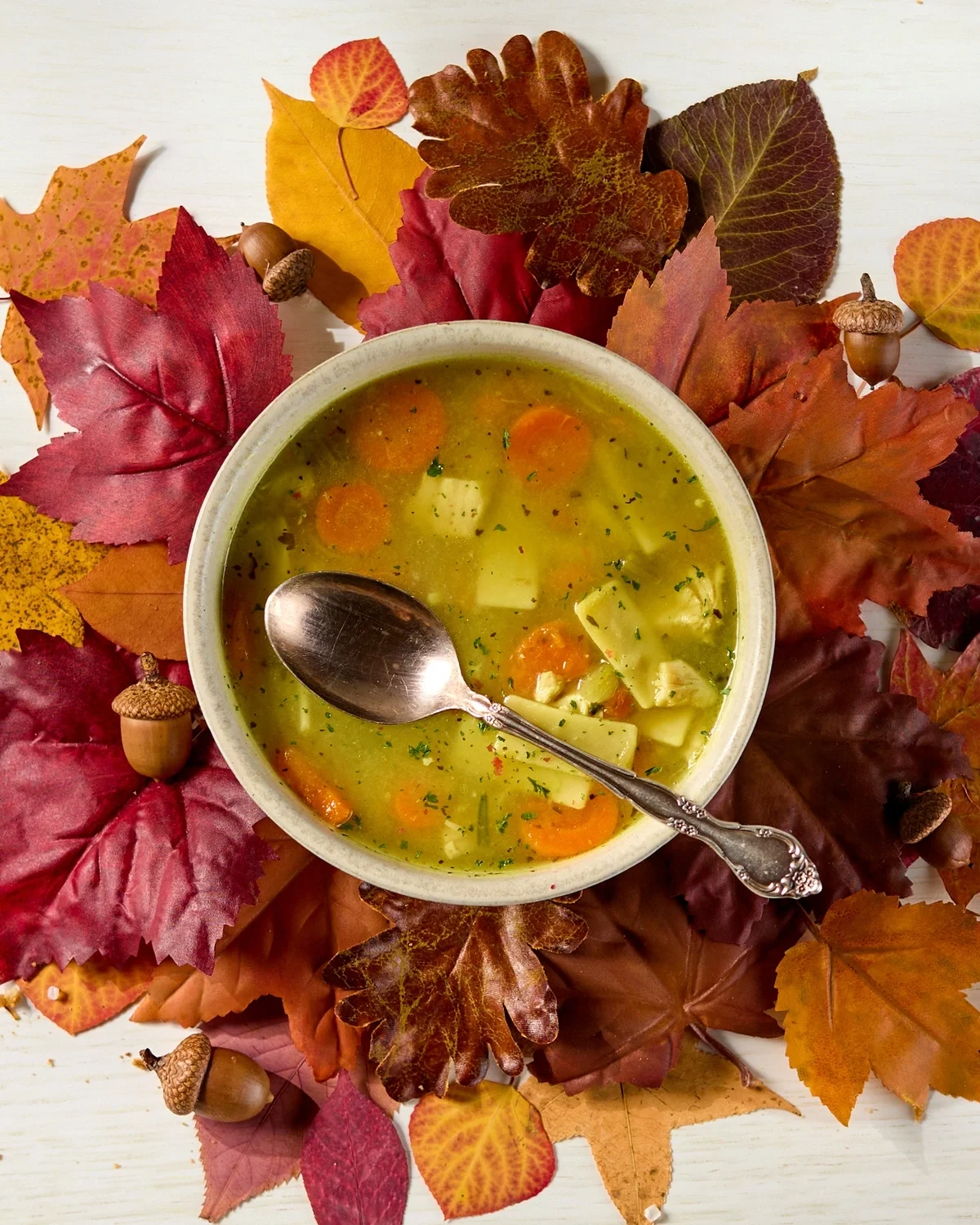 Chicken Noodle Soup Bowl