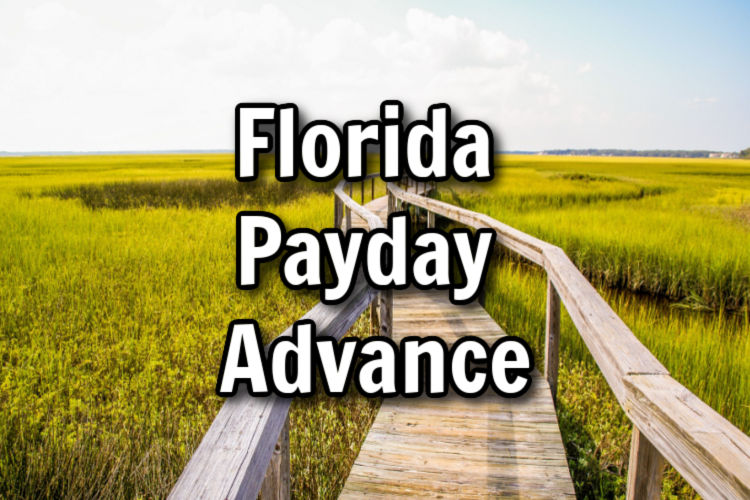 florida payday advance text over marsh and dock