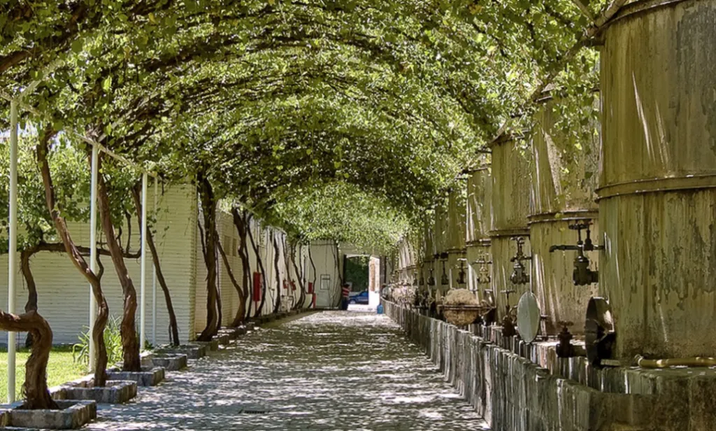 Parras de la Fuente, Coahuila