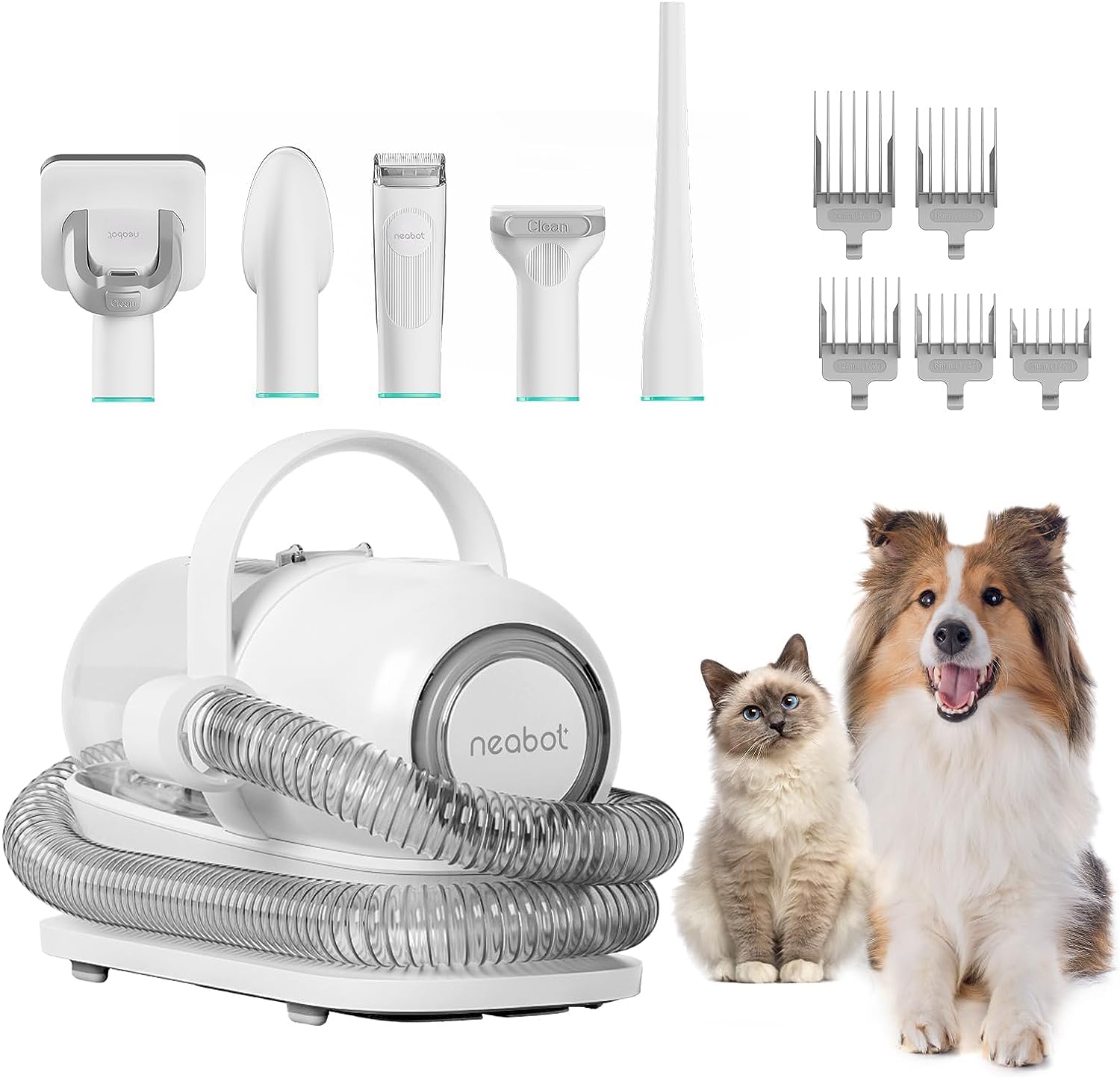 Best Dog Hair Removal Tools to Manage Shedding