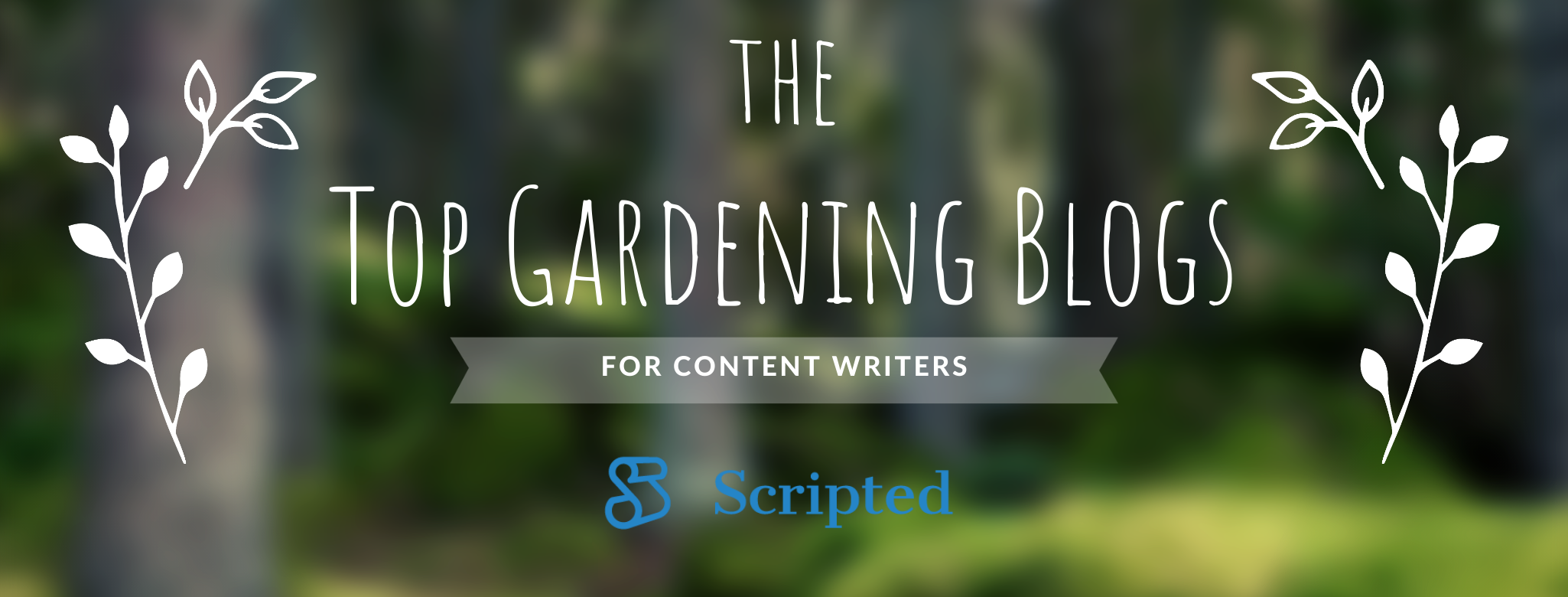 The Best Gardening Blogs For Content Writers Read