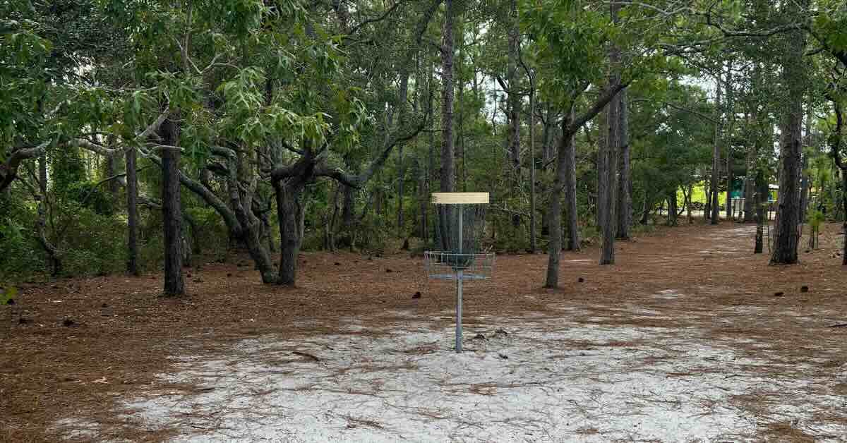 A disc golf basket in sandy, coastal soil