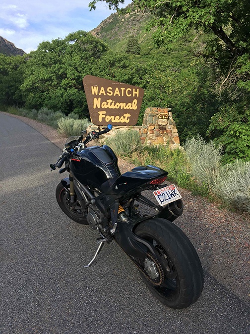 Wasatch National Forest.jpg