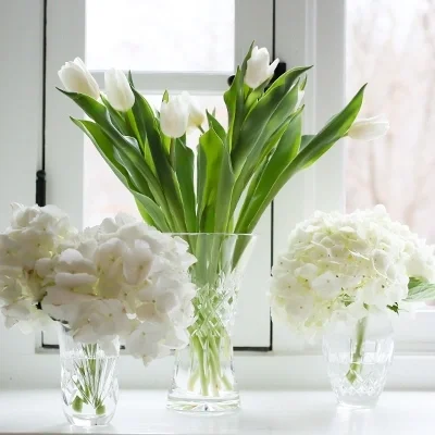 Shop Waterford Giftware