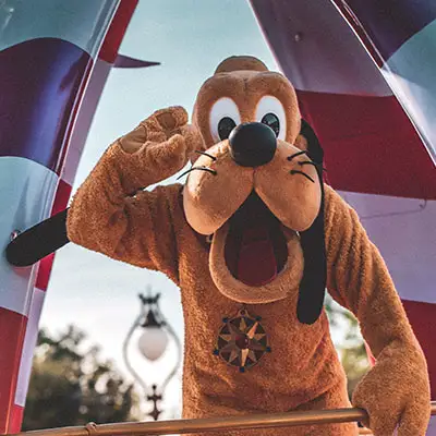 Goofy at Disney park.