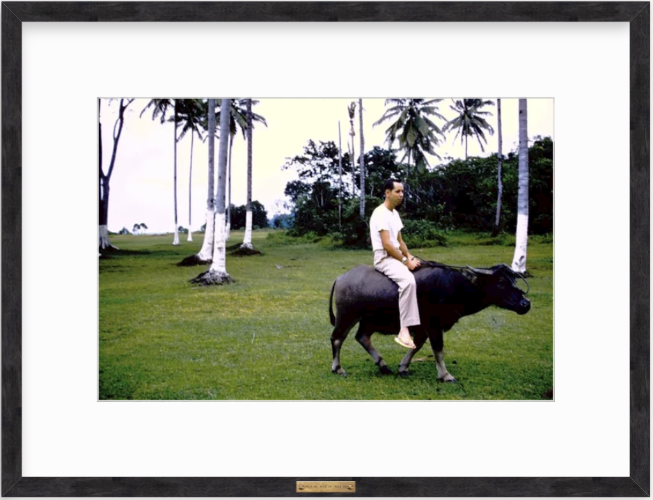 framed photo of man riding ox in phillippines