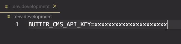 API key in the .env.development file