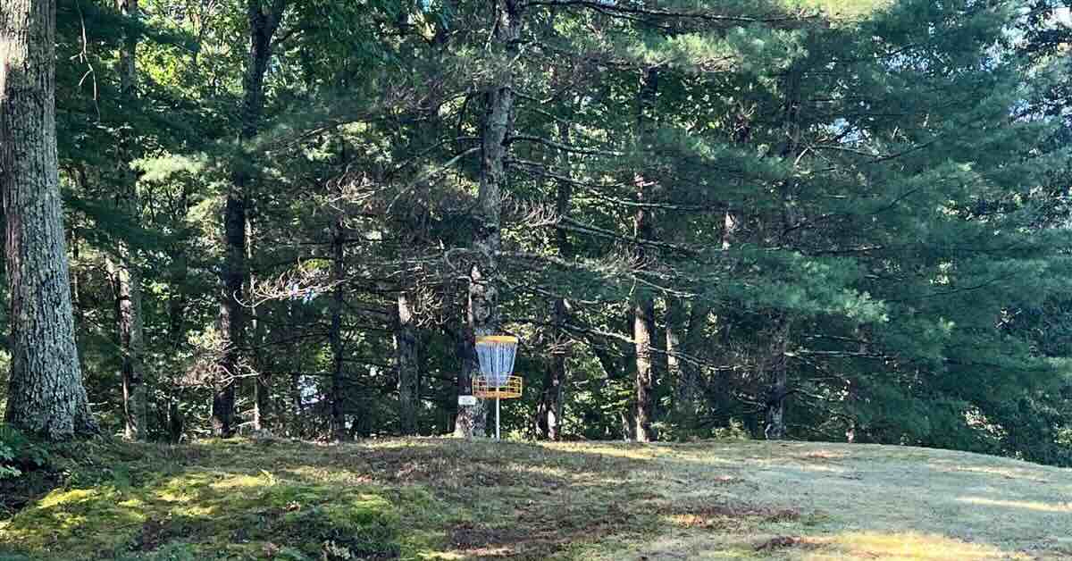 A disc golf basket on a hill in an open area nexts to the woods