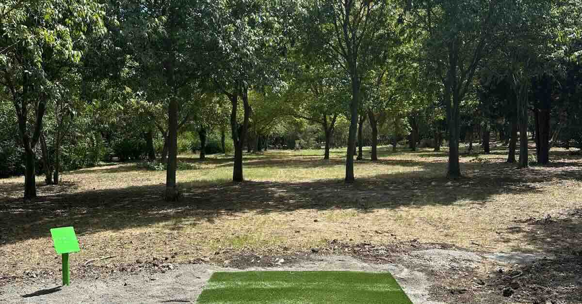 A green turf disc golf tee pad in front of a fairway filed with young trees