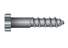 Lag Screws / Bolts at Fastener SuperStore