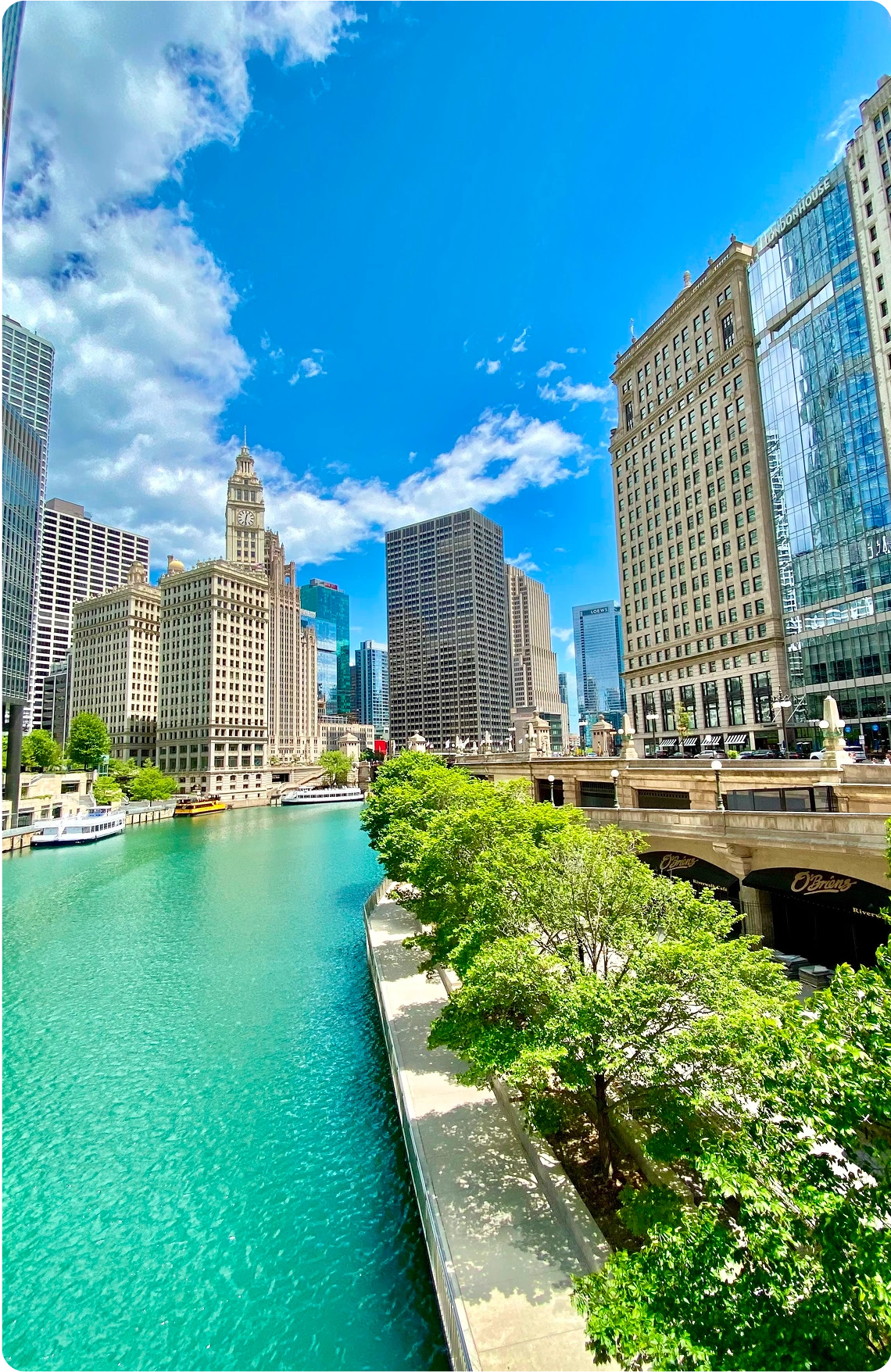 Why Form an LLC in Illinois?