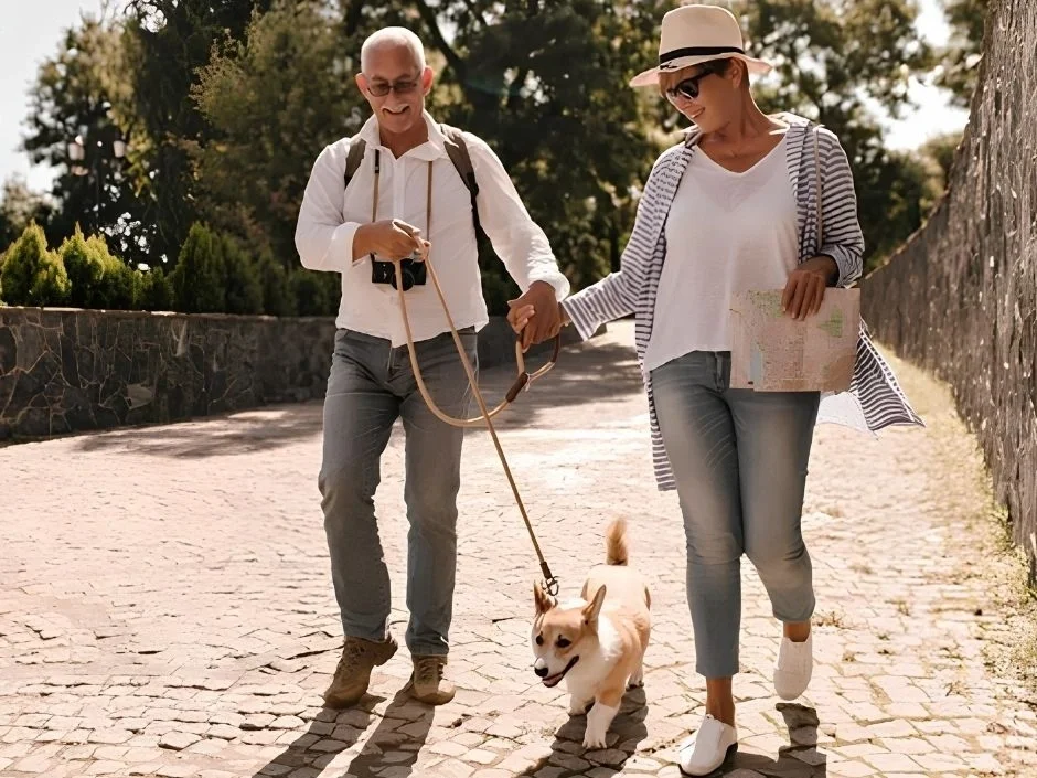 Retired couple walking a Pembroke Welsh Corgi on a leash along a sunny cobblestone path