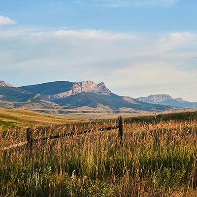 Early morning in the Montana