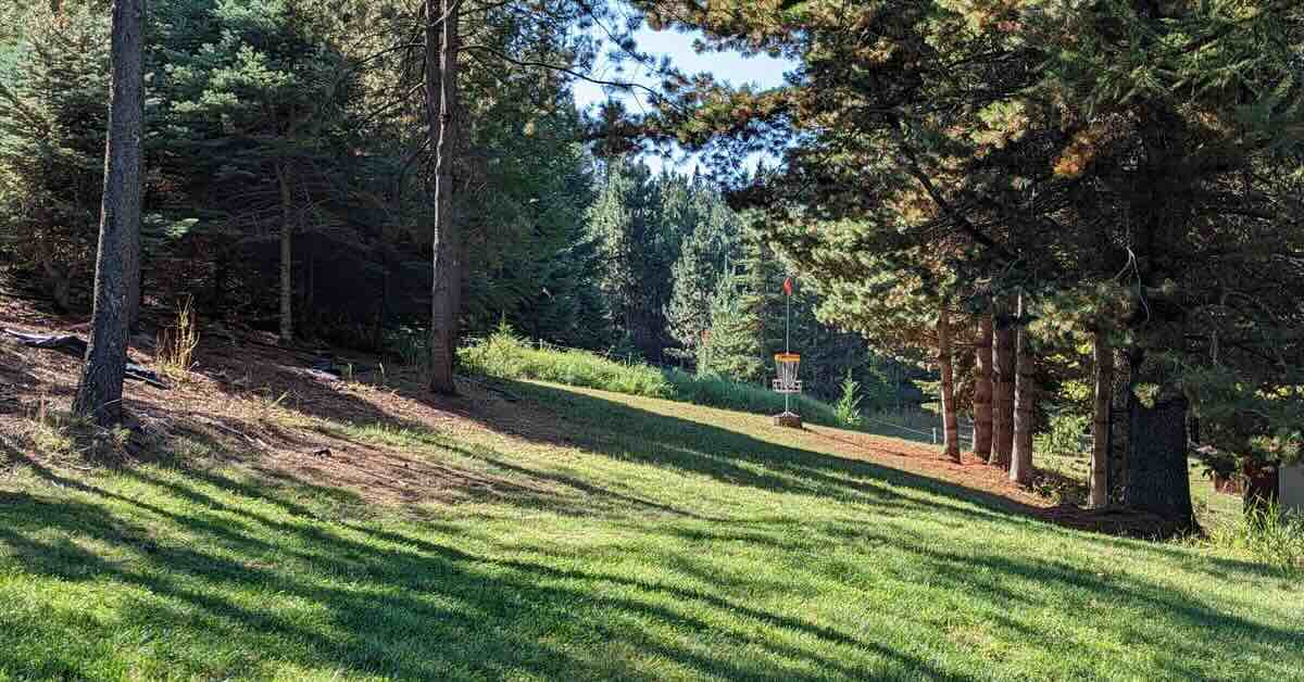 A disc golf basket on a slightly left-to-right sloping fairway with trees on both sides